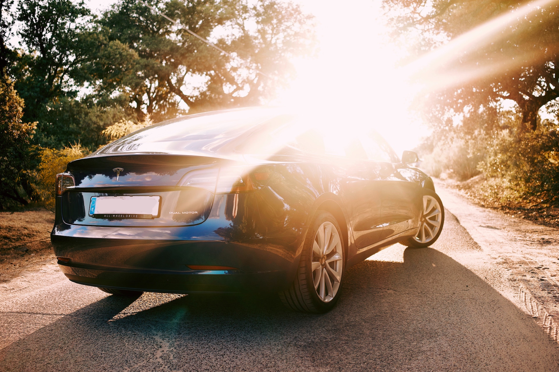 Best Tesla Model 3 Accessories - Mud Flaps